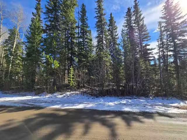 Lot for sale in Deka Lake / Sulphurous / Hathawa, 100 Mile Hou.