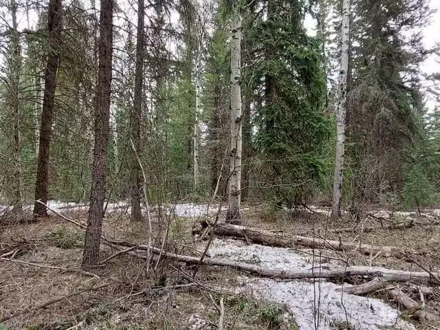 Lot for sale in Forest Grove, 100 Mile House, Lot B Bryce Road.