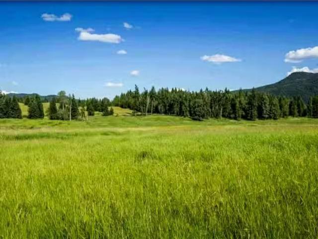 Lot for sale in Forest Grove, 100 Mile House, 3961 Canimview D.