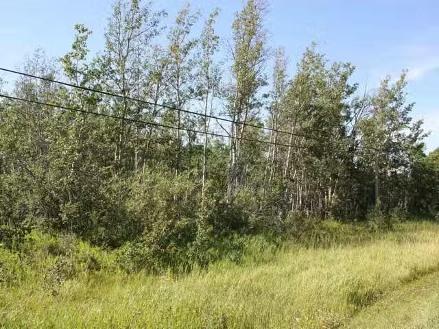 Lot for sale in Fort St. John, Fort St. John, Lot 2 Rose Prair.