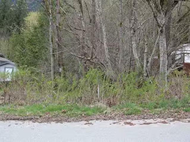 Lot for sale in Hope, Hope & Area, 66555 Kereluk Road, 263016110