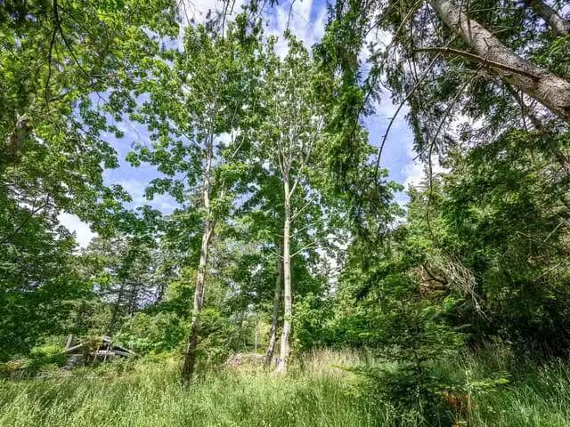 Lot for sale in Hornby Island, 4920 Kirk Rd, 1039554