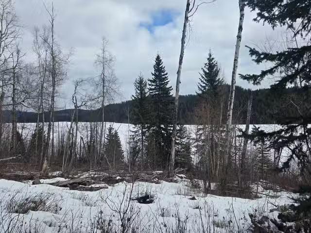 Lot for sale in Lone Butte, 100 Mile House, 5858 Mahood Lake R.