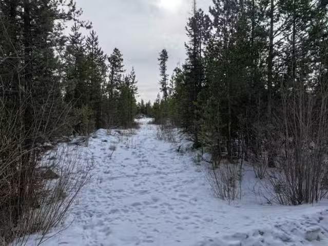 Lot for sale in Lone Butte, 100 Mile House, Lot 11 Evergreen D.