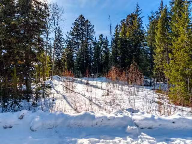 Lot for sale in Lone Butte, 100 Mile House, Lot 177 Faraway Ro.