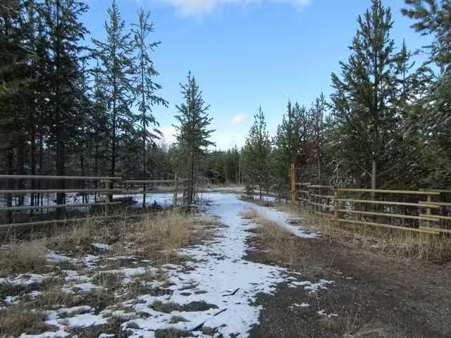 Lot for sale in Lone Butte, 100 Mile House, LOT B Lone Butte H.
