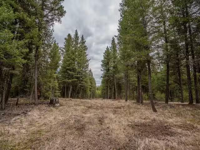 Lot for sale in Lac La Hache, 100 Mile House, Lot 6 Park Place.