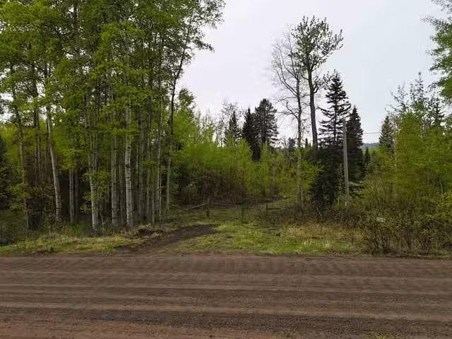 Lot for sale in Lac La Hache, 100 Mile House, 2954 Spout Lake.