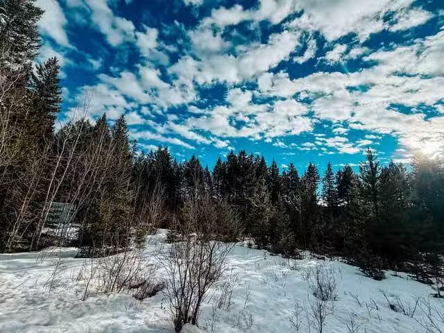 Lot for sale in Lac La Hache, 100 Mile House, 5724 Timothy Lak.