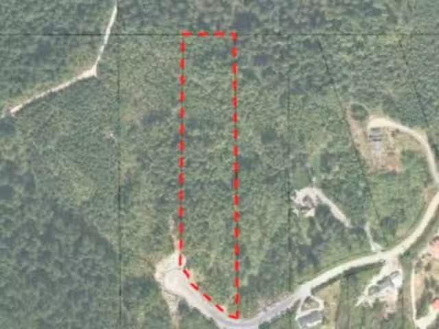 Lot for sale in Maple Ridge, Maple Ridge, 28465 123 Avenue, 26.