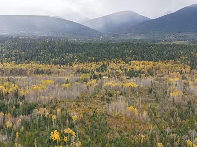 Lot for sale in Mc Bride, Robson Valley, DL 7054 W 16 Highway.