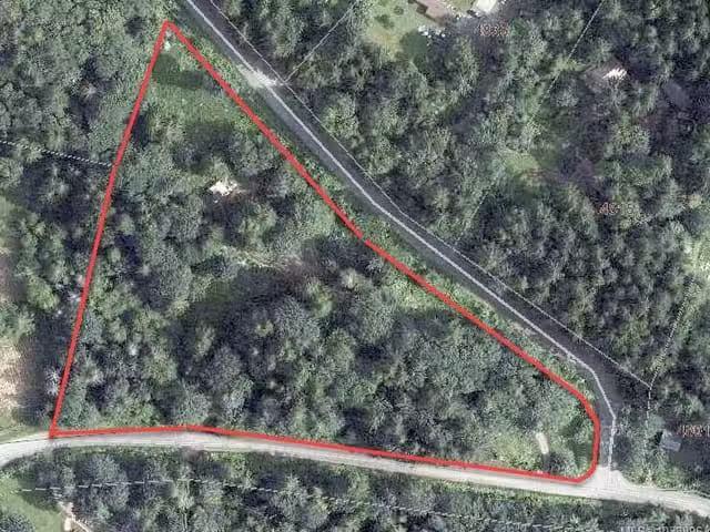 Lot for sale in Nanaimo, Lot 9 South Doole Rd, 1038896
