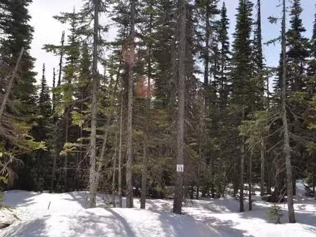 Lot for sale in Smithers, Smithers And Area, Pr. St Lt 13 Alpi.