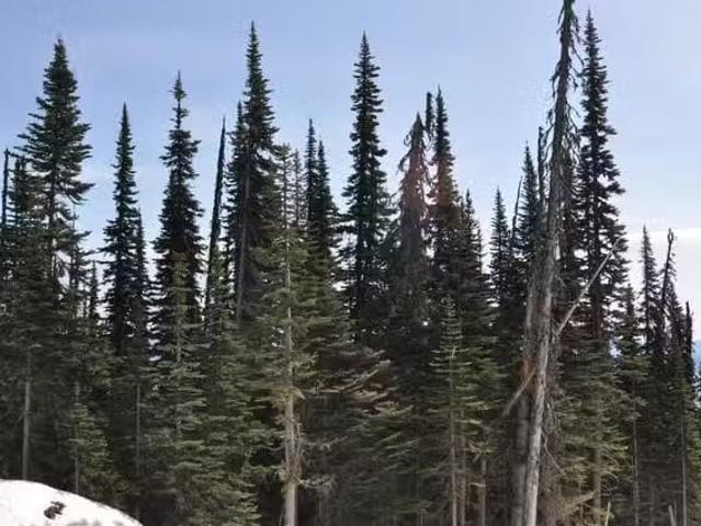 Lot for sale in Smithers, Smithers And Area, Pr. St Lt 8 Alpin.