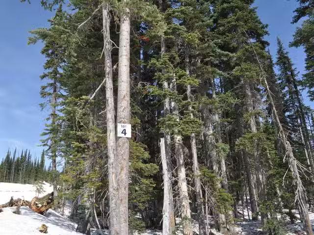 Lot for sale in Smithers, Smithers And Area, PT. St 4 Alpine W.