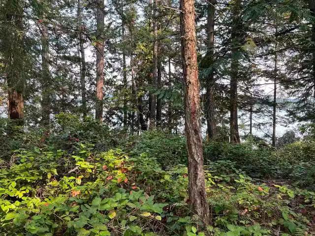 Lot for sale in Saltspring Island, Islands Van. & Gulf, LOT 2.