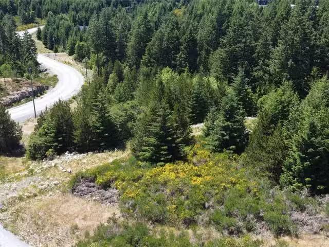 Lot for sale in Shawnigan Lake, Lot 1 Eagle Vista Rd, 1039884