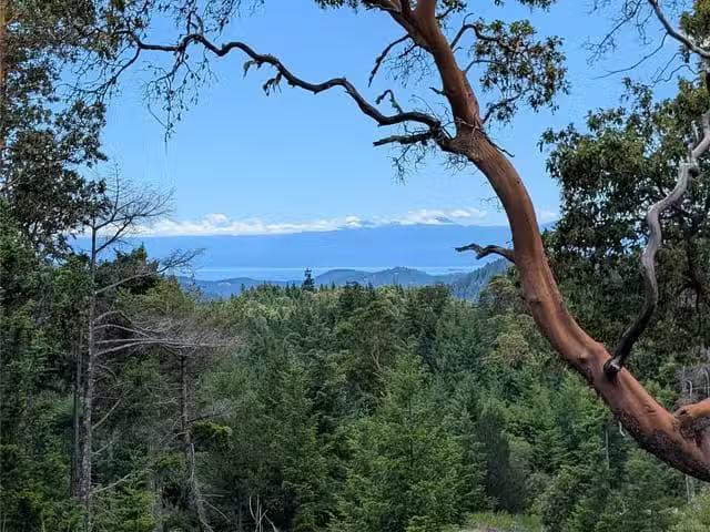 Lot for sale in Shawnigan Lake, Lt 6 Eagle Vista Rd, 1039901
