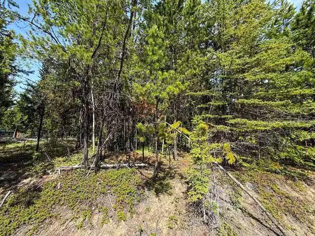 Lot for sale in Sheridan Lake, 100 Mile House, 7083 Salter Roa.
