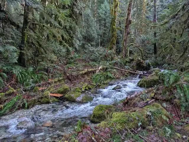 Lot for sale in Squamish, Squamish, 2045 N Rustad Road, 263122.