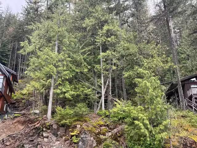 Lot for sale in Sunshine Valley, Hope & Area, 14701 Parkview A.