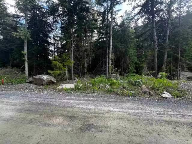 Lot for sale in Sunshine Valley, Hope & Area, Sve25 Old Hope P.