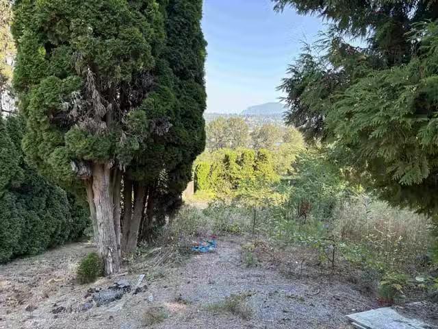 Lot for sale in Surrey, North Surrey, 13993 116 Avenue, 263069.