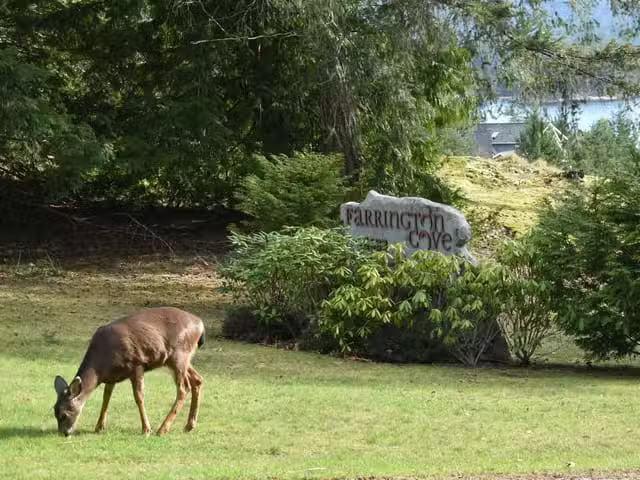 Lot for sale in Pender Harbour, Sunshine Coast, 7 4622 Sinclai.