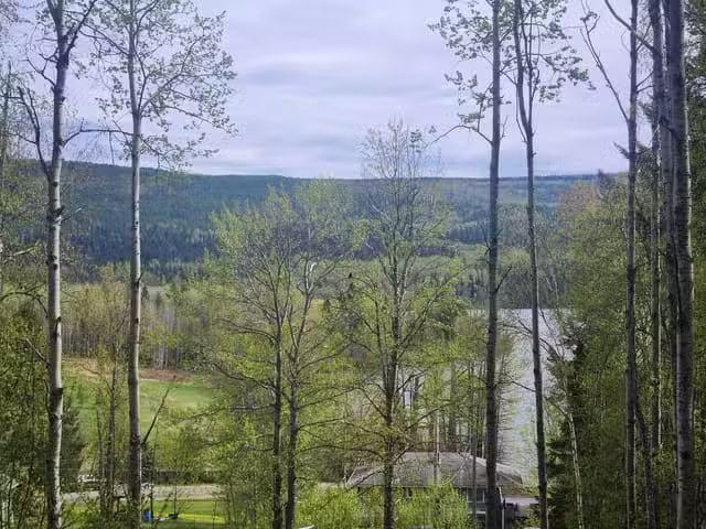 Lot for sale in Prince George, PG Rural East, LOT 24 Rondane C.