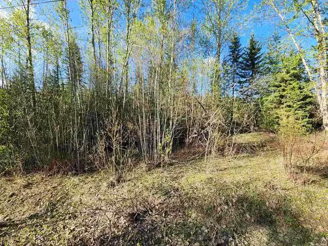 Lot for sale in Prince George, PG Rural North, LOT 13 Meadowvi.