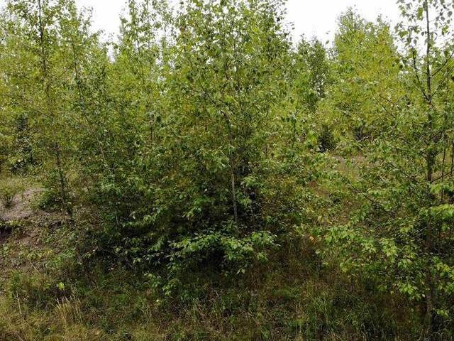 Lot for sale in Quesnel Town Quesnel Quesnel Lot 13 Panagrot Avenue 262743259