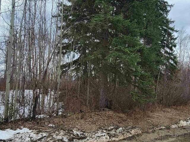 Lot for sale in Quesnel Town Quesnel Quesnel Lot 4 Findlay Road 262789862