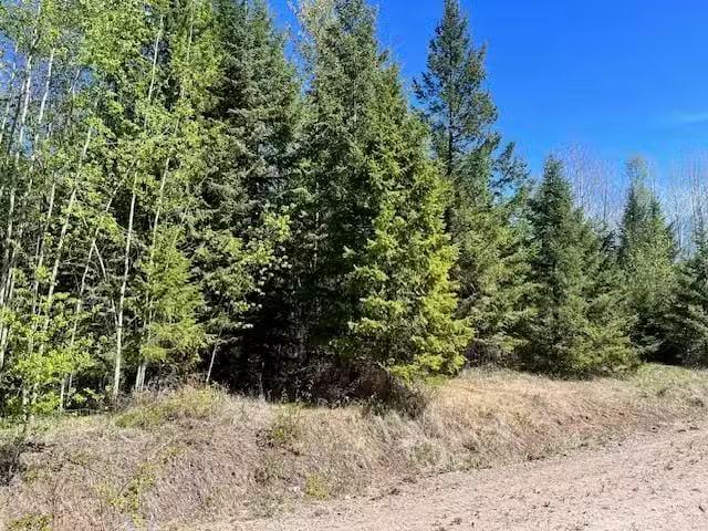 Lot for sale in Quesnel, Quesnel, LOT 2 Bourgeois Road, 263141.