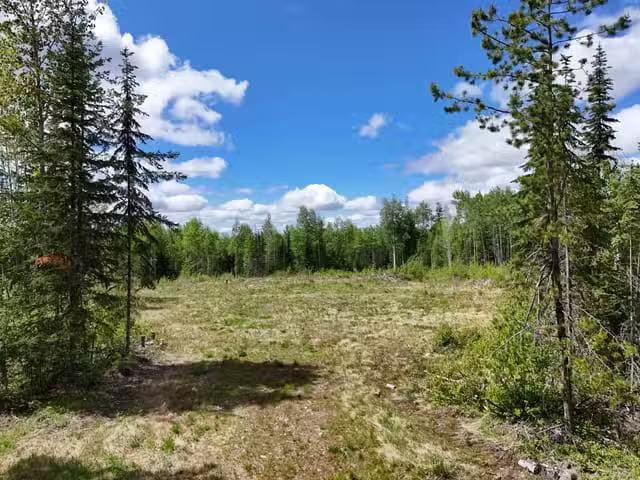 Lot for sale in Quesnel, Quesnel, 3880 Birch Hill Road, 263150.