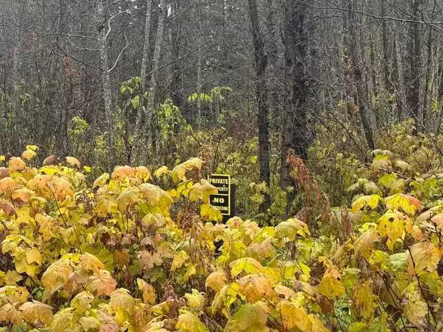 Lot for sale in Terrace, Terrace, LOT 1 Dl 1716 Kilby Road, 26.