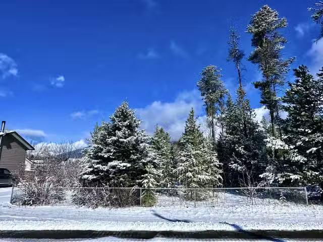 Lot for sale in Valemount, Robson Valley, 1044 9th Avenue, 263.