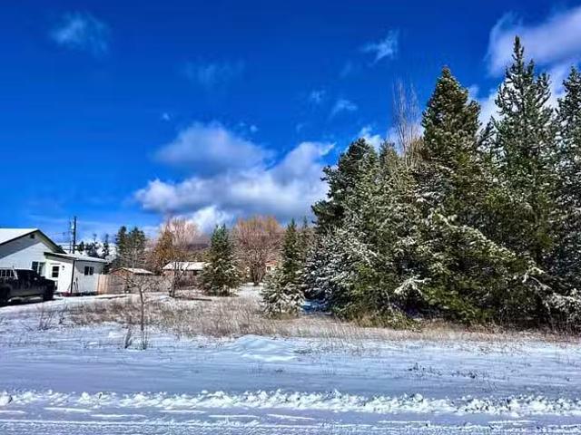 Lot for sale in Valemount, Robson Valley, 1022 7th Avenue, 263.