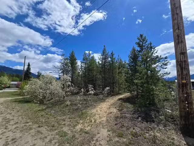 Lot for sale in Valemount, Robson Valley, 1025 9th Avenue, 263.