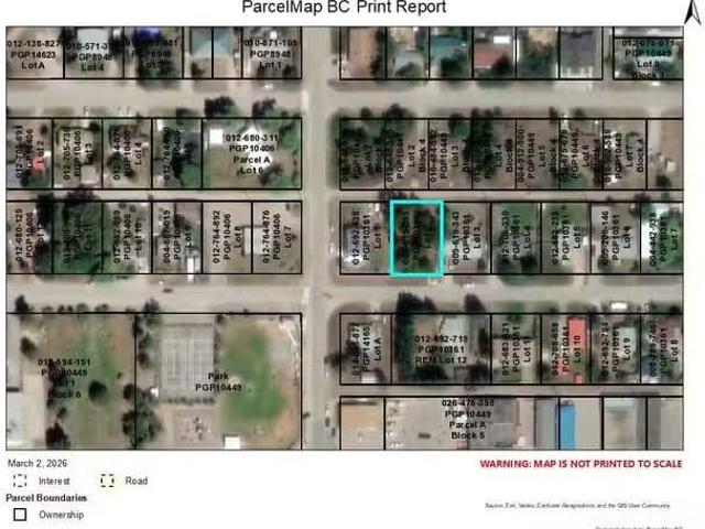 Lot for sale in Valemount, Robson Valley, 1260 4th Avenue, 263.