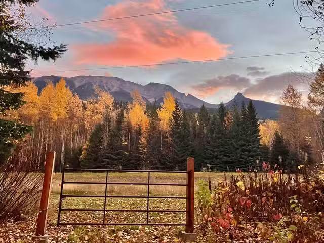 Lot for sale in Valemount, Robson Valley, 18405 S 5 Highway, 2.