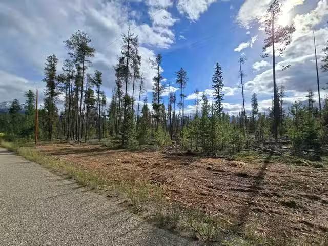 Lot for sale in Valemount, Robson Valley, 2350 Bailey Road, 26.