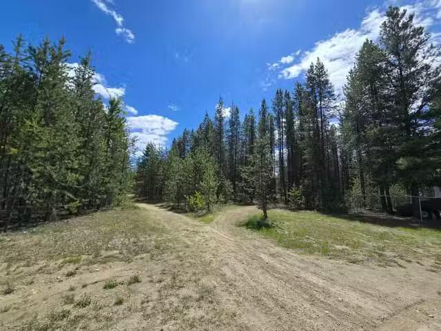 Lot for sale in Valemount, Robson Valley, 808 Beaven Crescent.