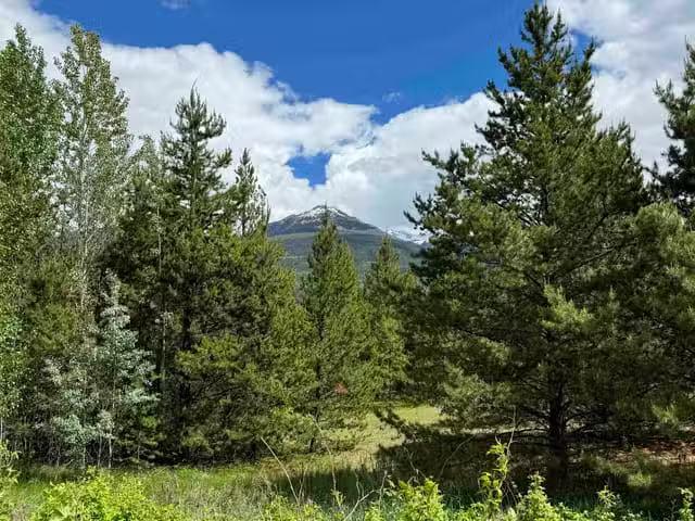 Lot for sale in Valemount, Robson Valley, LOT 2 Starview Road.