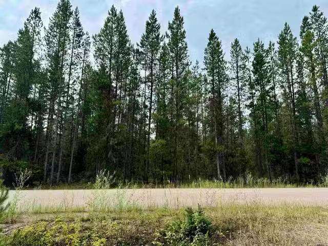 Lot for sale in Valemount, Robson Valley, LOT 8 Pine Road, 263.