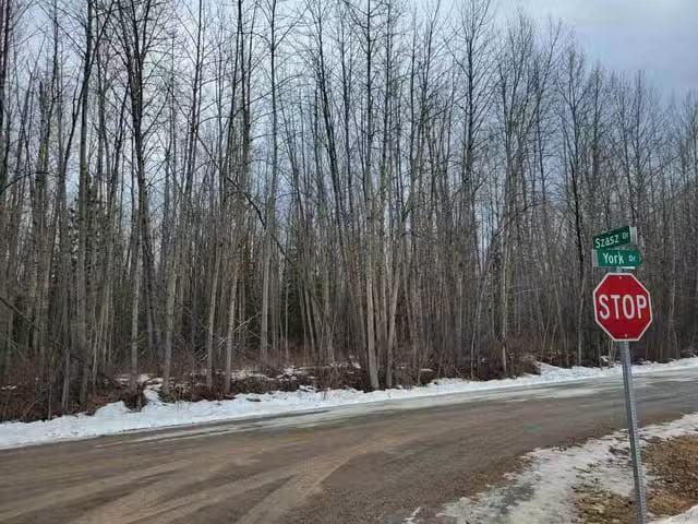 Lot for sale in Vanderhoof, Vanderhoof And Area, Lot 28 York D.