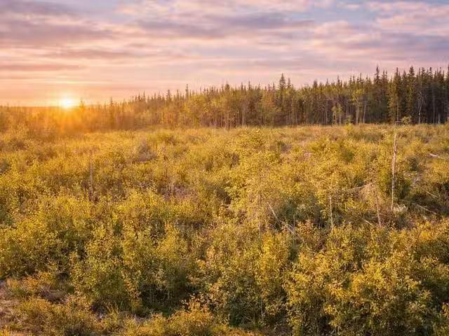 Lot for sale in Vanderhoof, Vanderhoof And Area, 1575 Nechako.