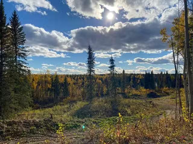Lot for sale in Vanderhoof, Vanderhoof And Area, 12521 Braesid.