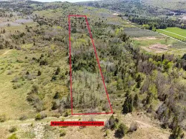 Lot Highway 101, Carleton Corner, NS, B0S 1C0 vacant land fo.