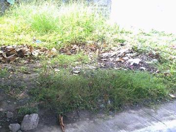 Lot in East Residences