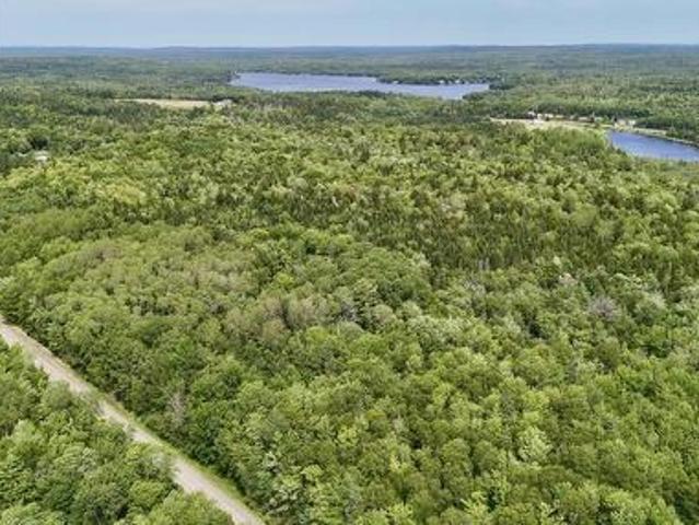 Lot Jones Road, Murphy Lake, NS, B4N 3V8 vacant land for sale | Listing ID 202618 | Royal LePage